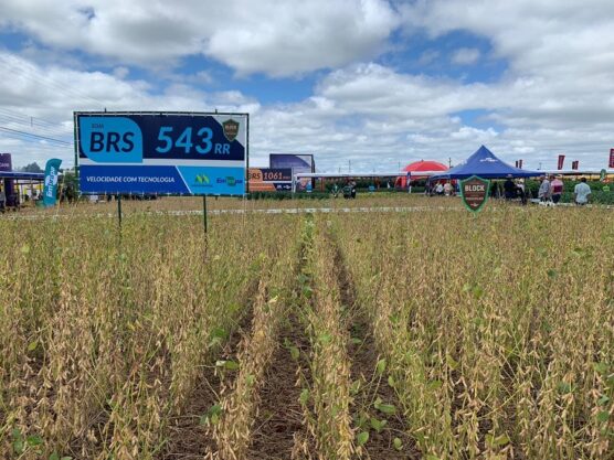 Ihara desenvolve linha de herbicidas do futuro – Show Rural Coopavel